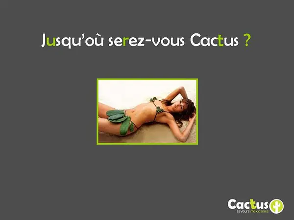 Cactus à  — photo