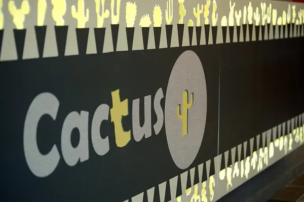 Cactus à  — photo