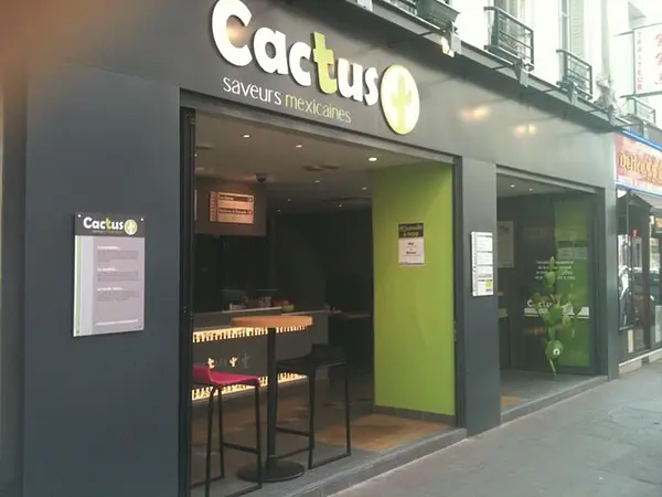 Cactus à  — photo