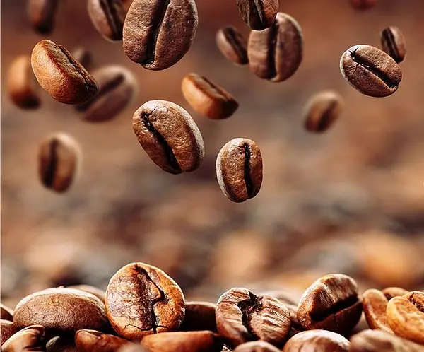Loops and Coffee à  — photo