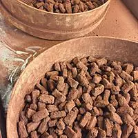 L'Atelier du Chocolat à  — photo