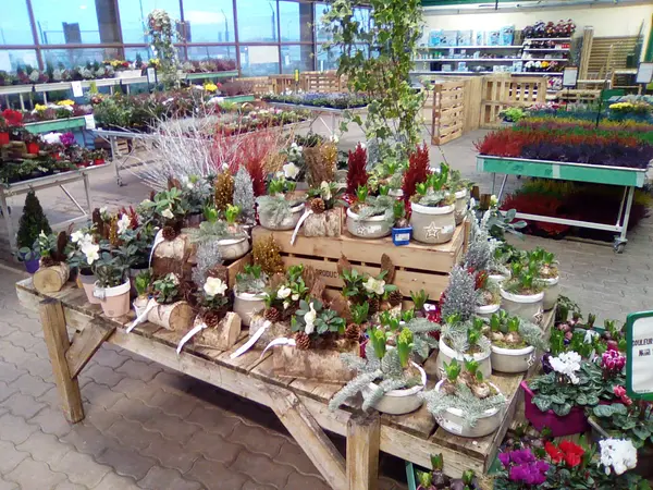 L'intérieur d'un magasin Gamm Vert en Lorraine. 