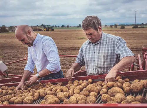 Ninkasi privilégie un circuit ultra-court, les pommes de terres prennent 3 jours après la récolte avant d'être dans les assiettes.