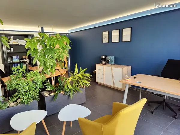 Local commercial 32m2 à Albi — photo