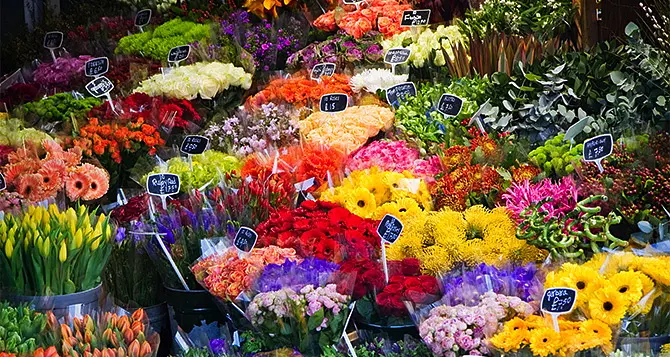 Comment choisir une franchise de fleuriste?