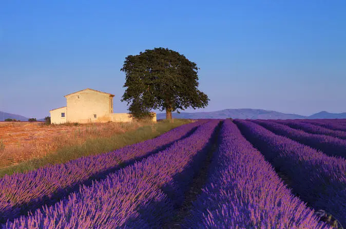 Franchise l'Occitane en Provence: 3 choses qu'on aime