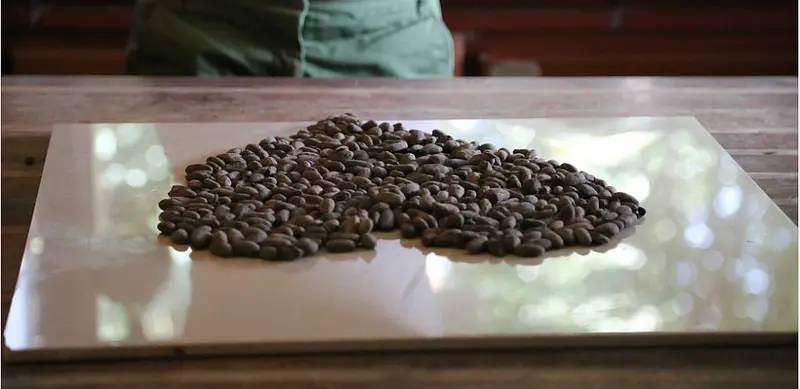 4 choses utiles à savoir avant d'ouvrir une boutique Jeff de Bruges