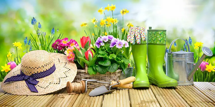 Ouvrir une franchise Jardiland: 3 questions à se poser