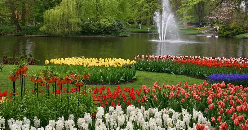 Ouvrir une franchise le jardin des fleurs: 5 infos utiles 