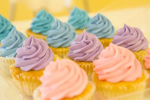 Ouvrir une franchise Lux'Cupcakes : quelques infos pour réussir son projet