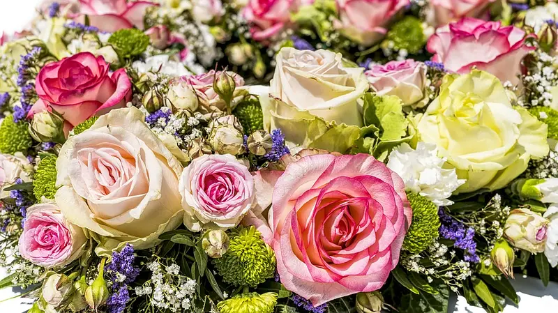 Comment ouvrir la franchise Rapid'Flore ?