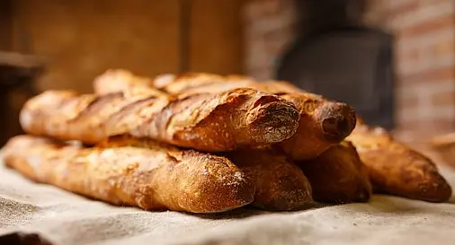 Ouvrir une franchise de boulangerie: découvrez Marie Blachère, un de nos derniers concepts 