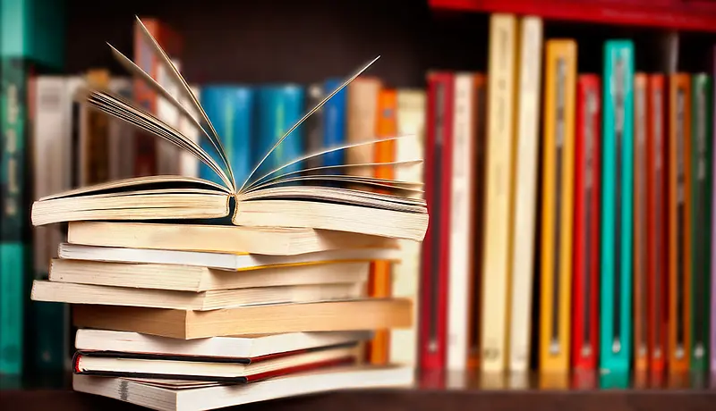 Quels livres acheter sur la franchise?
