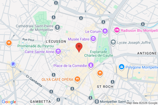 Carte de 16 Rue de l'Aiguillerie, Montpellier, France