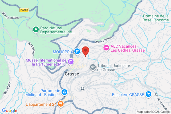 Carte de l'emplacement LOCAL COMMERCIAL AU SEIN D'UN CC TRES APPRECIE 