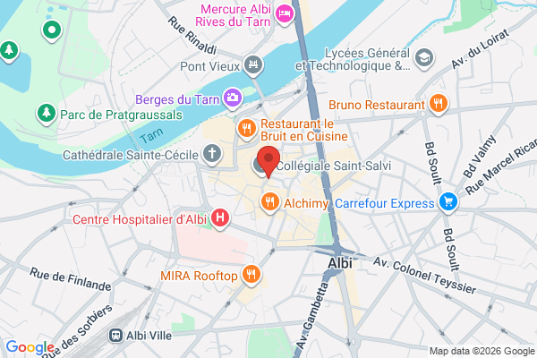 Carte de 16 Rue Peyrolière, Albi, France