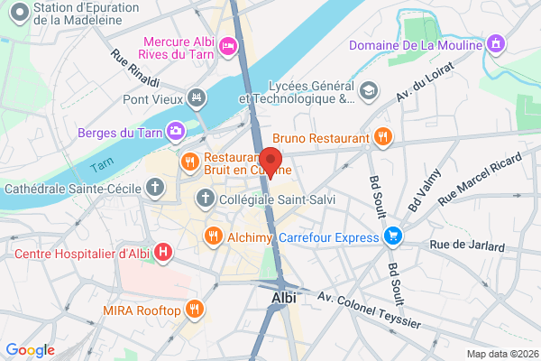 Carte de 33 Lices Georges Pompidou, Albi, France