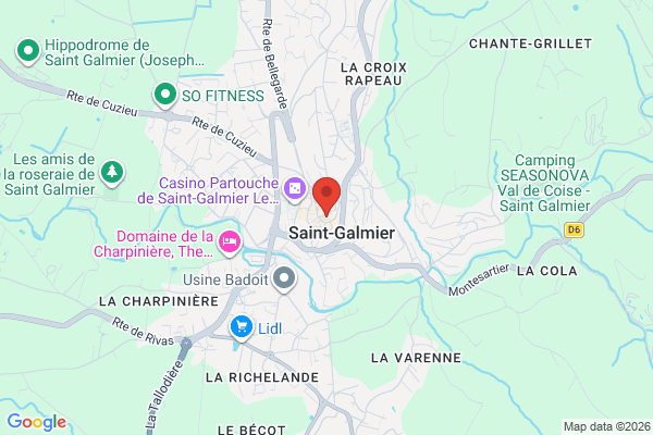 Carte de l'emplacement 42330 Saint-Galmier