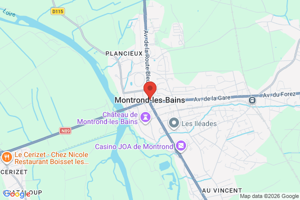 Carte de l'emplacement 42210 Montrond-les-Bains