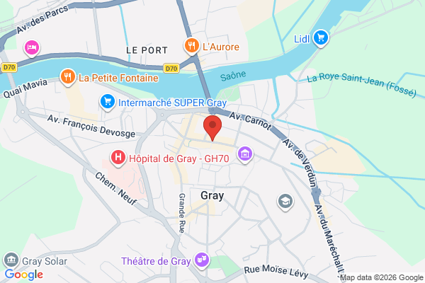 Carte de 29 Rue Vanoise, 70100 Gray, France