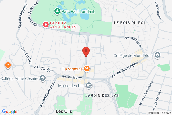 Carte de Avenue des Champs Lasniers, Les Ulis, France